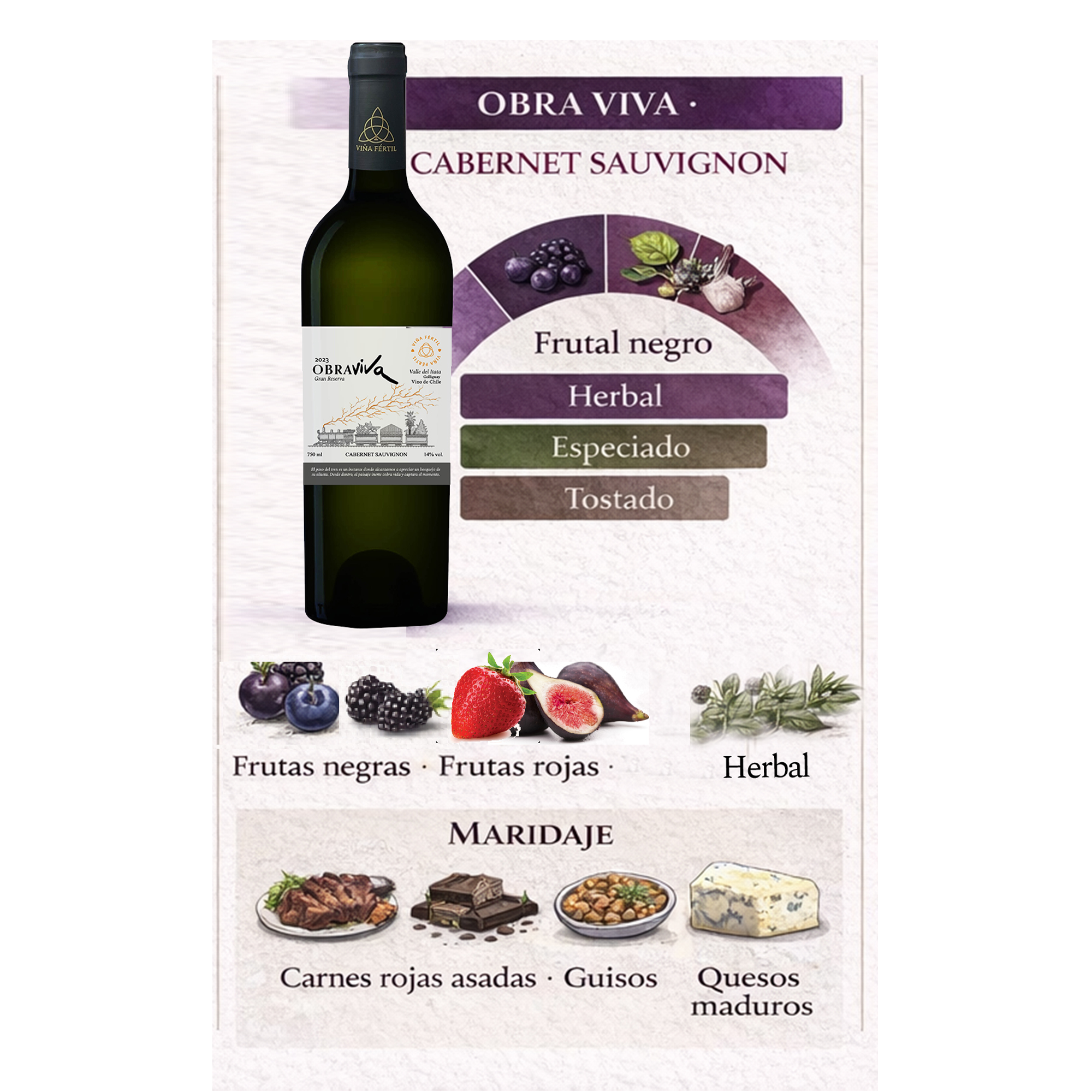 Cabernet Sauvignon 2023 - Imagen 2