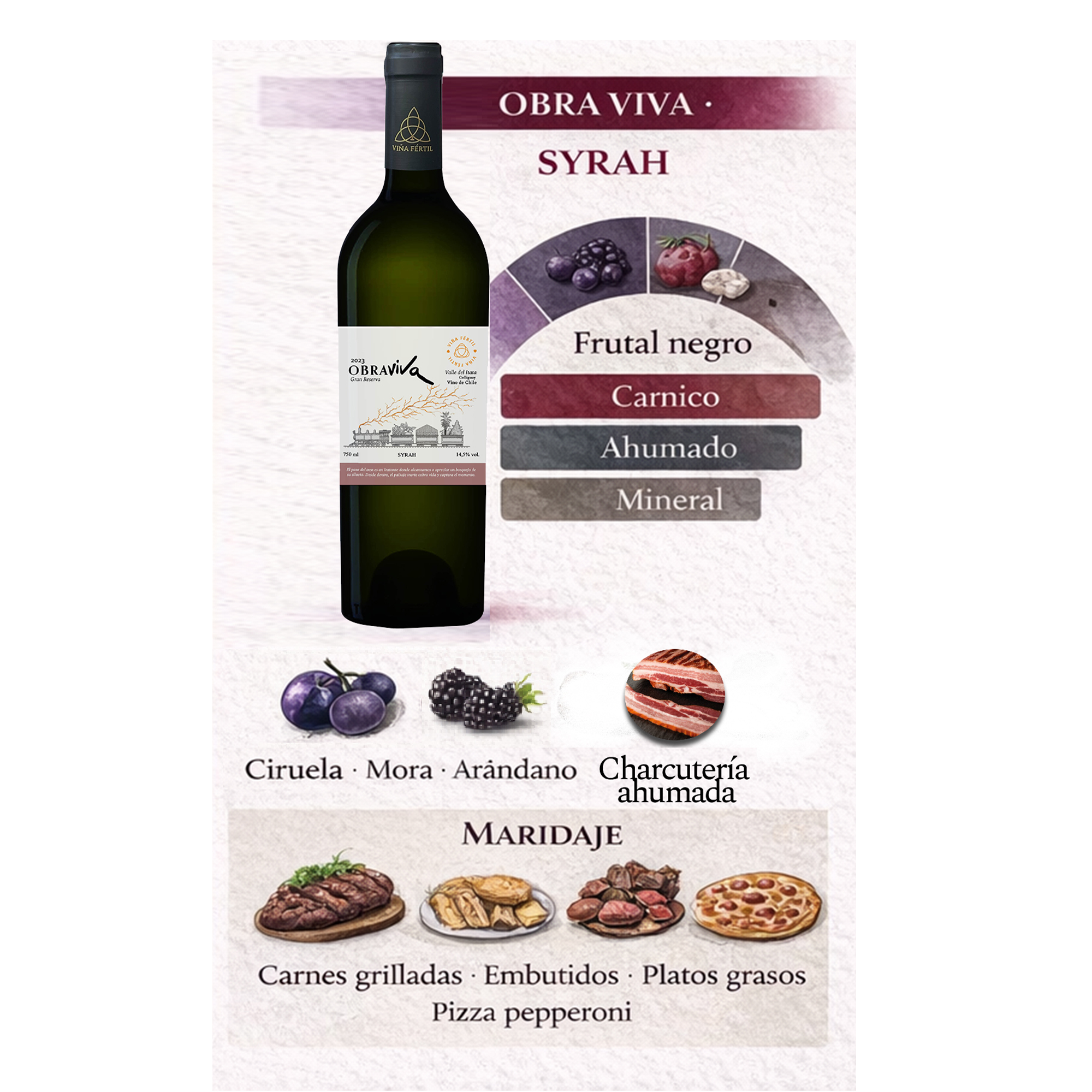Syrah 2023 - Imagen 2